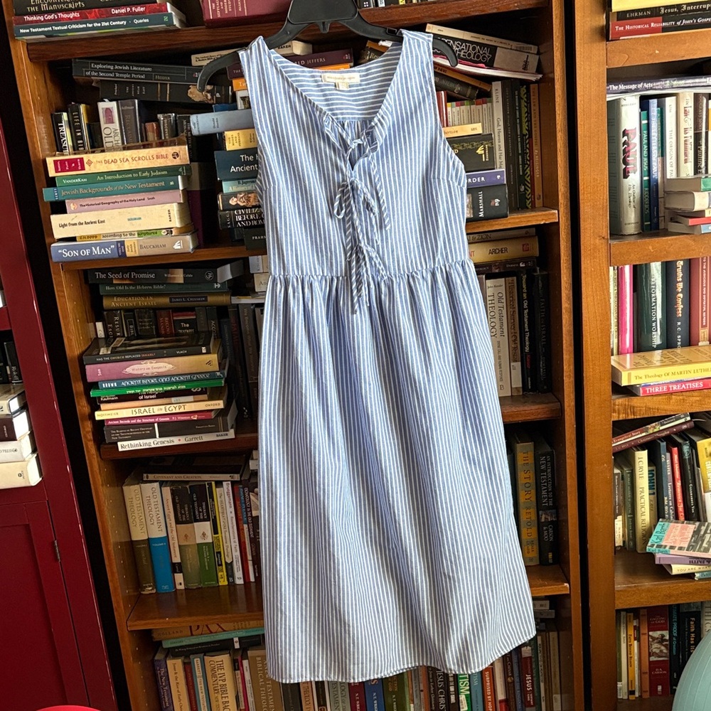 Monteau Blue Striped Midi Dress